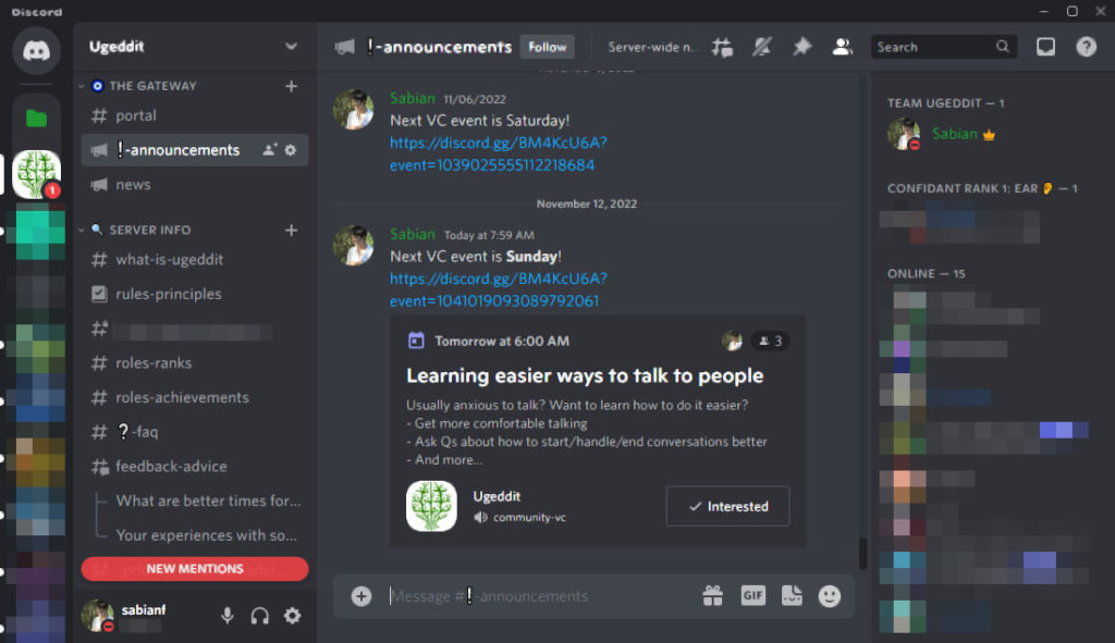community teamwork communication understanding weallunite discord server volunteer leader facilitate event manager coordinator