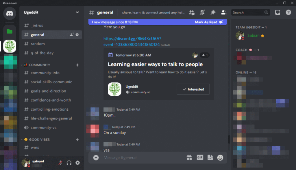 community teamwork communication understanding weallunite discord server volunteer advice suggestion feedback monetization revenue money referral program partnership partner